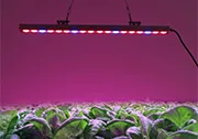 grow light cord